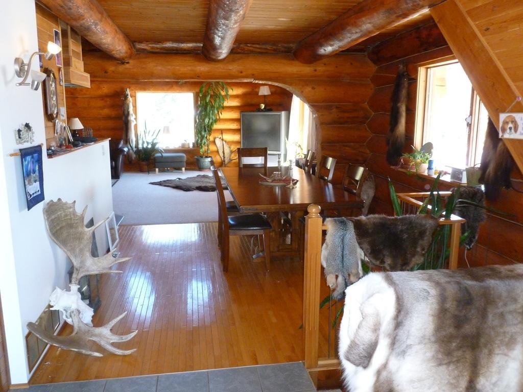 Mount Logan Ecolodge Haines Junction Room photo