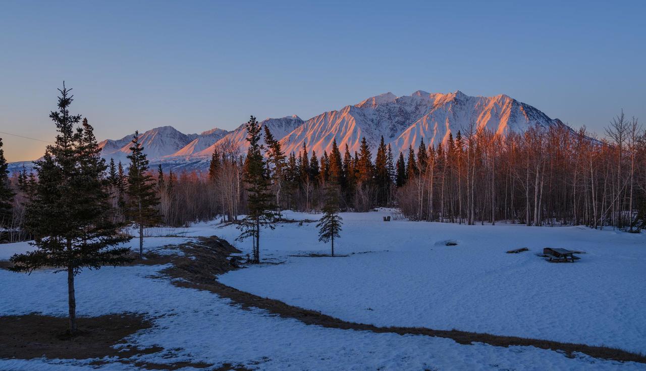 Mount Logan Ecolodge Haines Junction Exterior photo